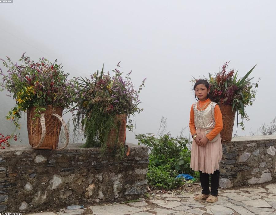 Hà Giang