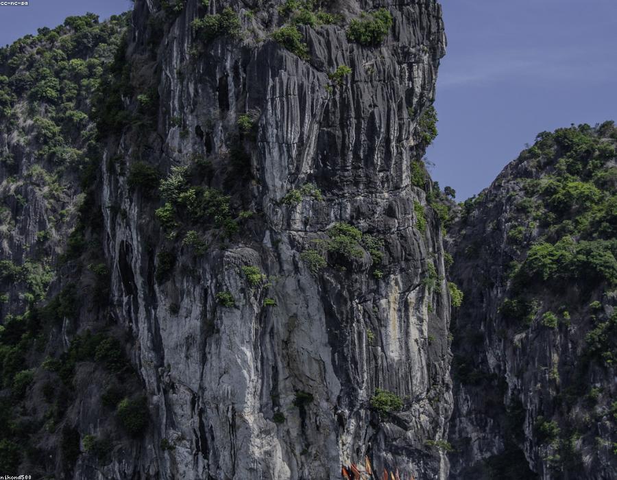 Hạ Long