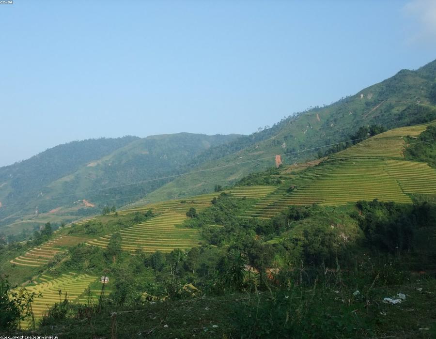 Sa Pa